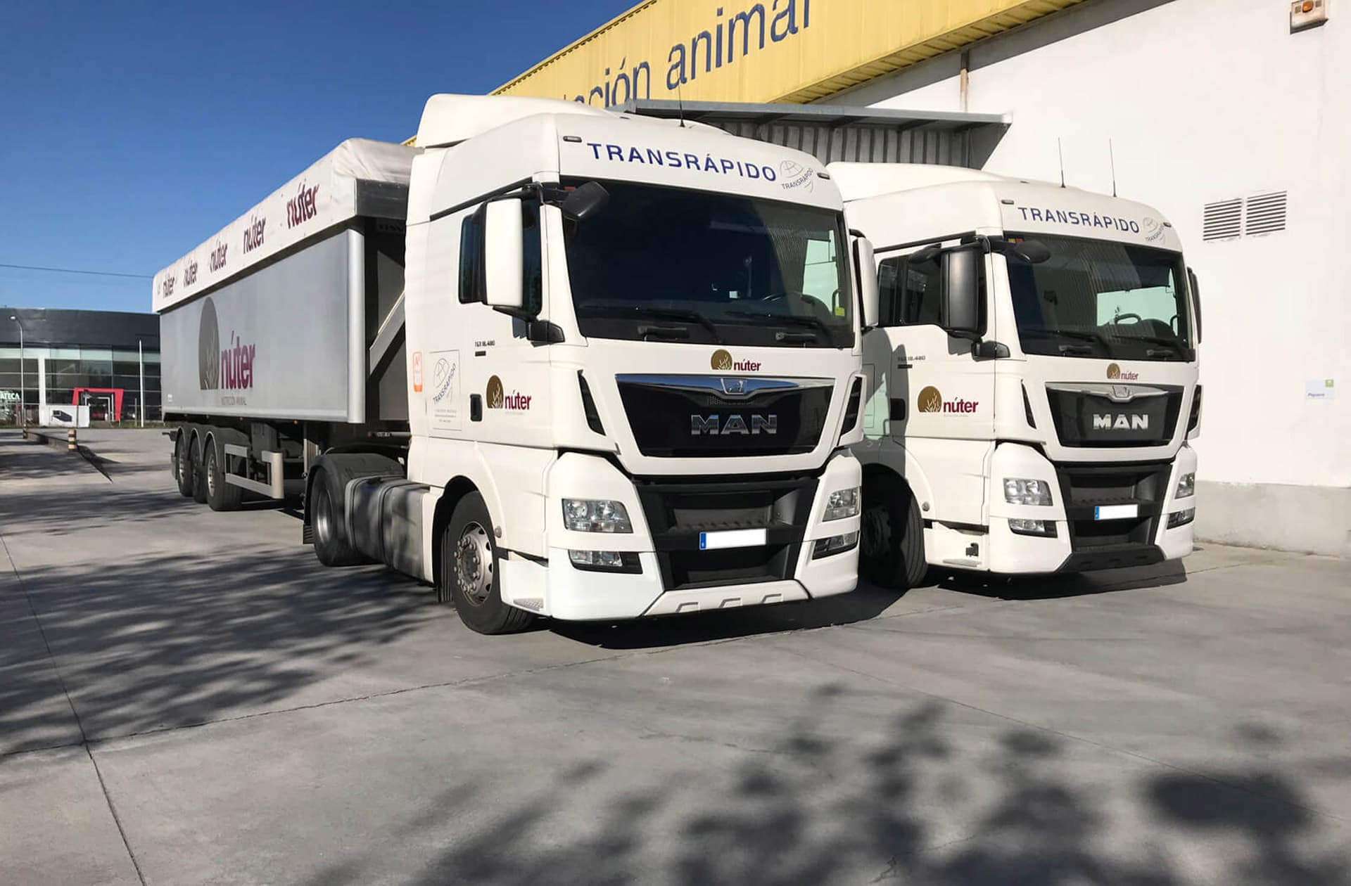 Empresas de transporte en Castellón